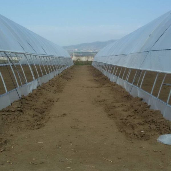 solun-3